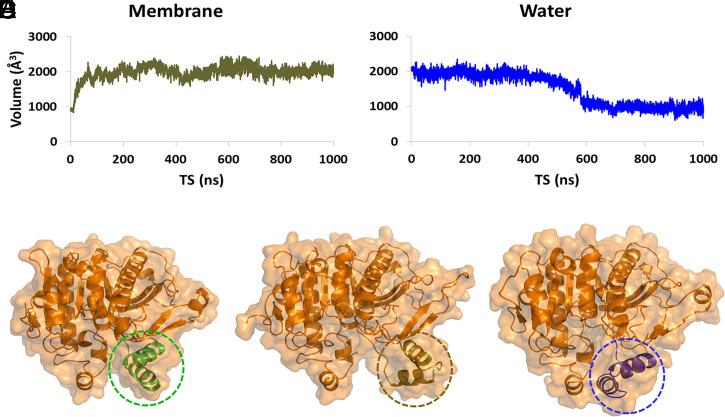 https://cdn.ncbi.nlm.nih.gov/pmc/blobs/c4ea/8764669/1d8545e2cb22/pnas.2102953118fig05.jpg