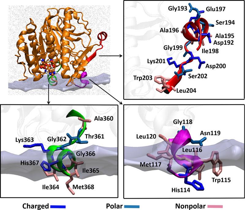 https://cdn.ncbi.nlm.nih.gov/pmc/blobs/c4ea/8764669/99bf132fb9b7/pnas.2102953118fig01.jpg