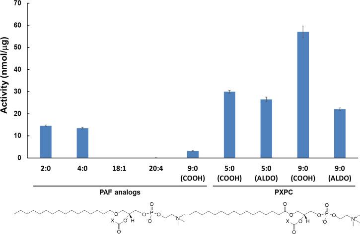 https://cdn.ncbi.nlm.nih.gov/pmc/blobs/c4ea/8764669/cdc5ef630c23/pnas.2102953118fig03.jpg