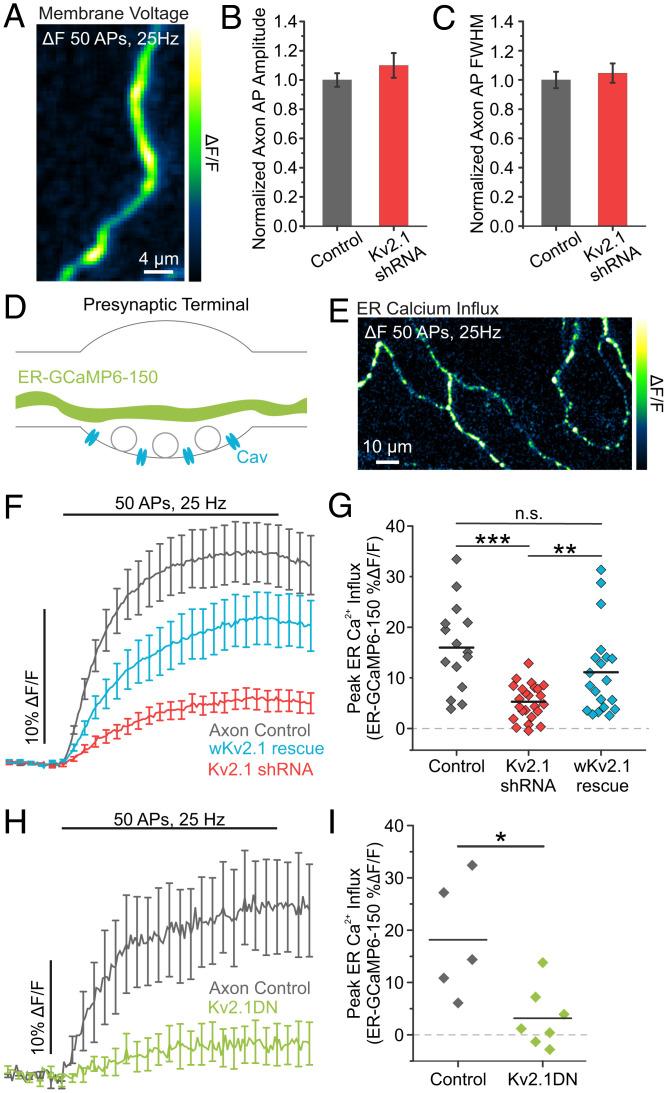 https://cdn.ncbi.nlm.nih.gov/pmc/blobs/c4eb/9335237/1e941676b6eb/pnas.2117135119fig03.jpg