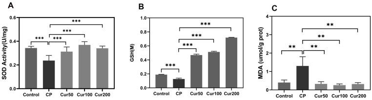 https://cdn.ncbi.nlm.nih.gov/pmc/blobs/c4ec/10298010/9bff932c6e80/ijms-24-09835-g002.jpg
