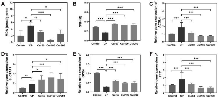 https://cdn.ncbi.nlm.nih.gov/pmc/blobs/c4ec/10298010/bac298cbe801/ijms-24-09835-g005.jpg