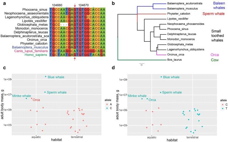 https://cdn.ncbi.nlm.nih.gov/pmc/blobs/c4ed/10919930/ca60d23ff25d/msae036f5.jpg