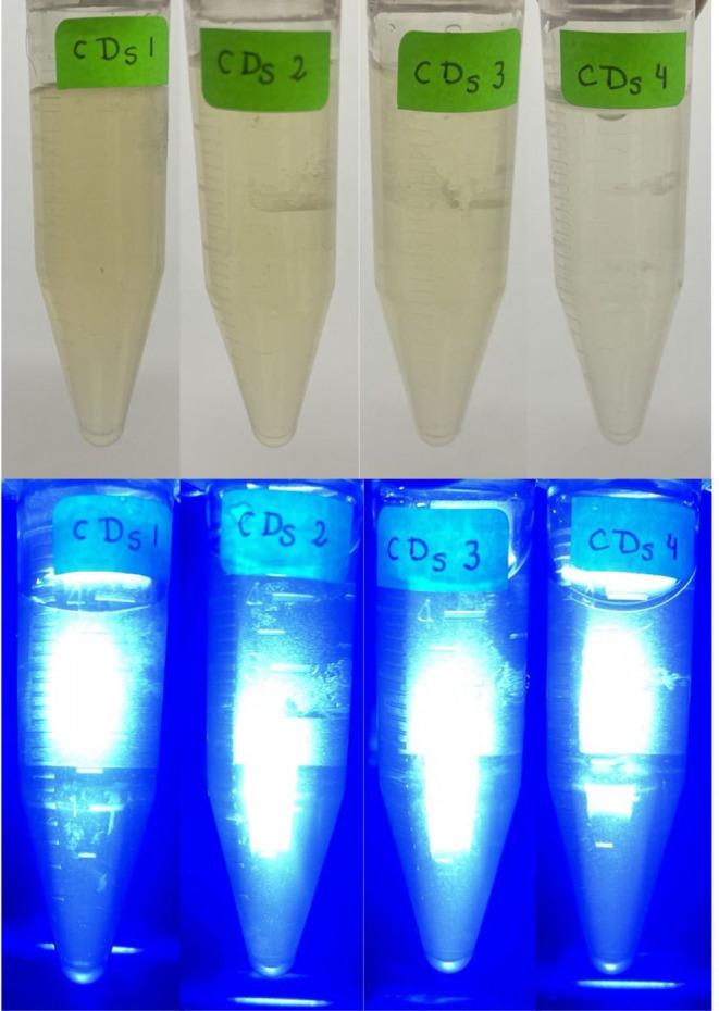 https://cdn.ncbi.nlm.nih.gov/pmc/blobs/c4ed/12184703/7f73d21c7e29/IJN-20-7893-g0004.jpg