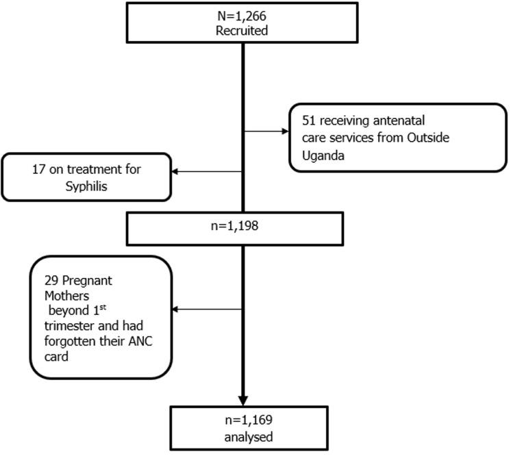 https://cdn.ncbi.nlm.nih.gov/pmc/blobs/c4ee/11161699/34ccf7c0d2a7/PAMJ-47-129-g001.jpg
