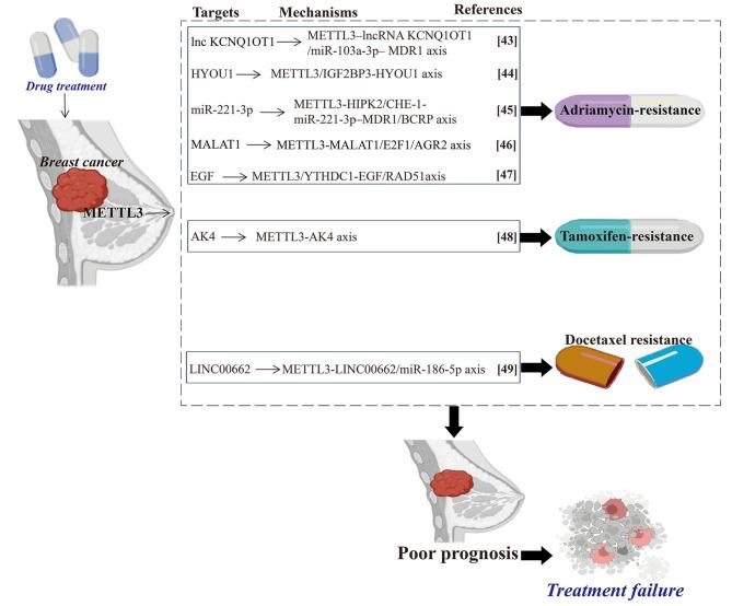 https://cdn.ncbi.nlm.nih.gov/pmc/blobs/c4ee/11223289/a98f96d0d0dd/13058_2024_1869_Fig2_HTML.jpg