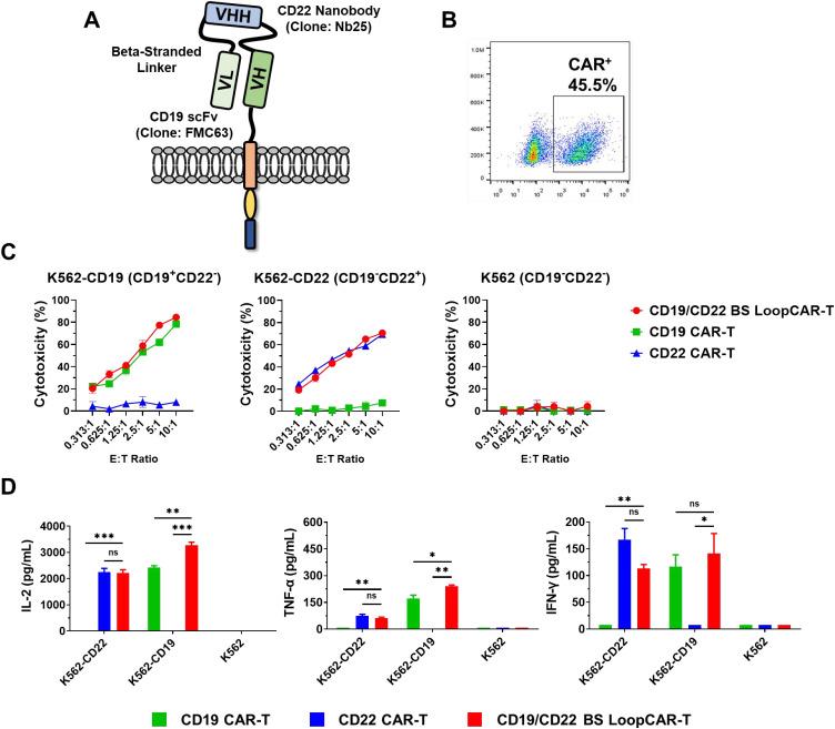 https://cdn.ncbi.nlm.nih.gov/pmc/blobs/c4ef/12275916/00f298f33641/CMAR-17-1389-g0002.jpg