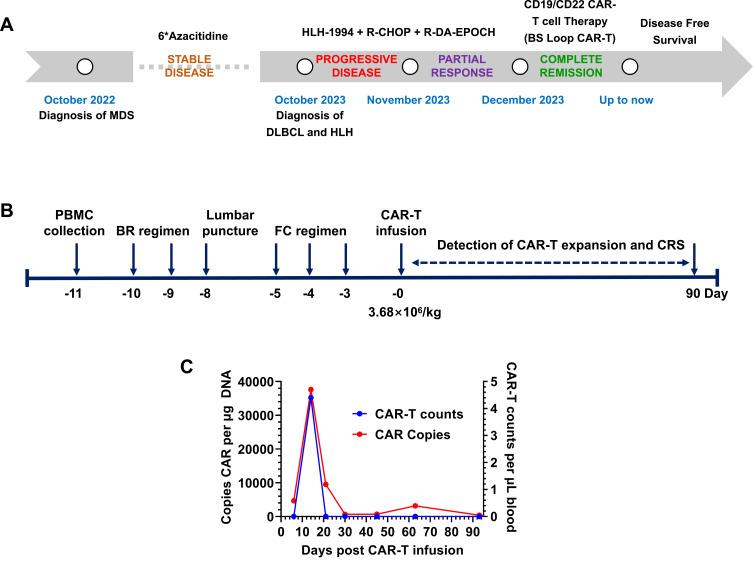 https://cdn.ncbi.nlm.nih.gov/pmc/blobs/c4ef/12275916/be42f92f8d43/CMAR-17-1389-g0003.jpg