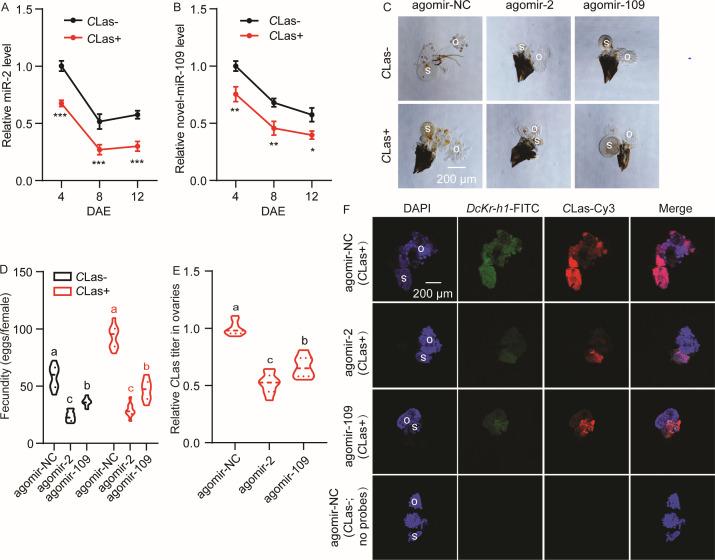 https://cdn.ncbi.nlm.nih.gov/pmc/blobs/c4f0/11559015/f7f7038d8046/mbio.01541-24.f002.jpg