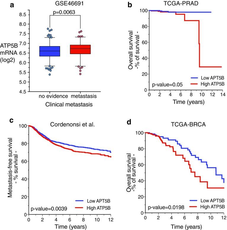 https://cdn.ncbi.nlm.nih.gov/pmc/blobs/c4f1/6555781/a10ec977f8a0/10549_2019_5174_Fig6_HTML.jpg