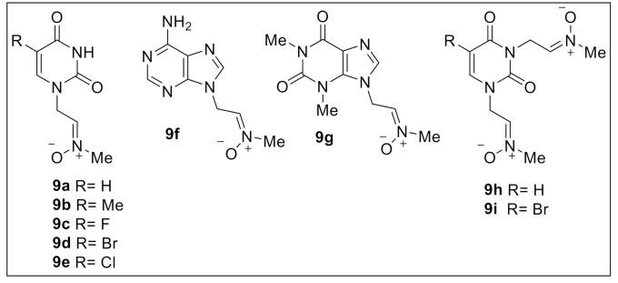 https://cdn.ncbi.nlm.nih.gov/pmc/blobs/c4f2/8955307/4e220f489754/ijms-23-03411-g002.jpg