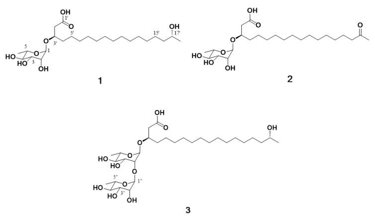 https://cdn.ncbi.nlm.nih.gov/pmc/blobs/c4f4/6521253/eea9b4d76c31/marinedrugs-17-00237-g001.jpg