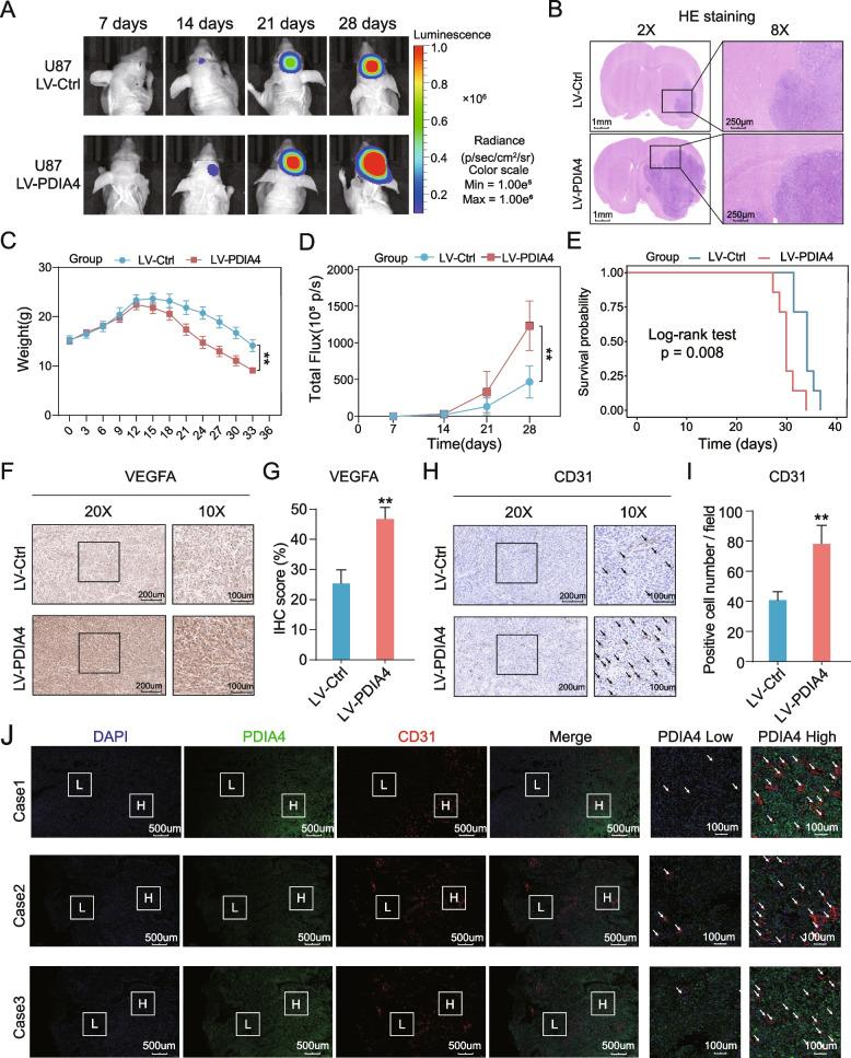 https://cdn.ncbi.nlm.nih.gov/pmc/blobs/c4f5/10061982/7a9cb0dba685/13046_2023_2640_Fig5_HTML.jpg