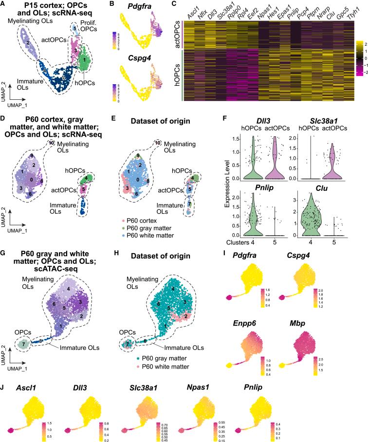 https://cdn.ncbi.nlm.nih.gov/pmc/blobs/c4f5/11103788/6fe8d8fef143/gr5.jpg