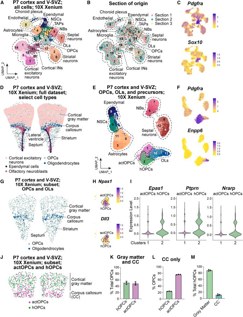 https://cdn.ncbi.nlm.nih.gov/pmc/blobs/c4f5/11103788/ecbfcf043338/gr4.jpg