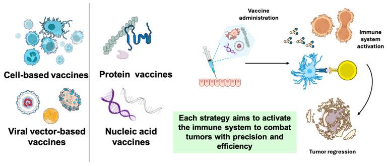 https://cdn.ncbi.nlm.nih.gov/pmc/blobs/c4f5/11859086/93084325912f/pharmaceutics-17-00216-g002.jpg