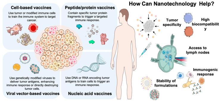 https://cdn.ncbi.nlm.nih.gov/pmc/blobs/c4f5/11859086/cd8e5840570f/pharmaceutics-17-00216-g001.jpg