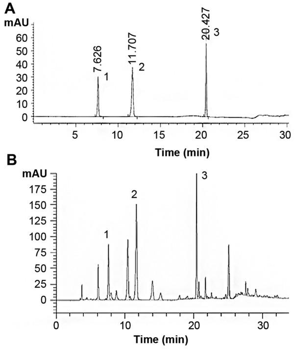 https://cdn.ncbi.nlm.nih.gov/pmc/blobs/c4f5/5504994/54099918981b/IJMM-40-02-0465-g00.jpg