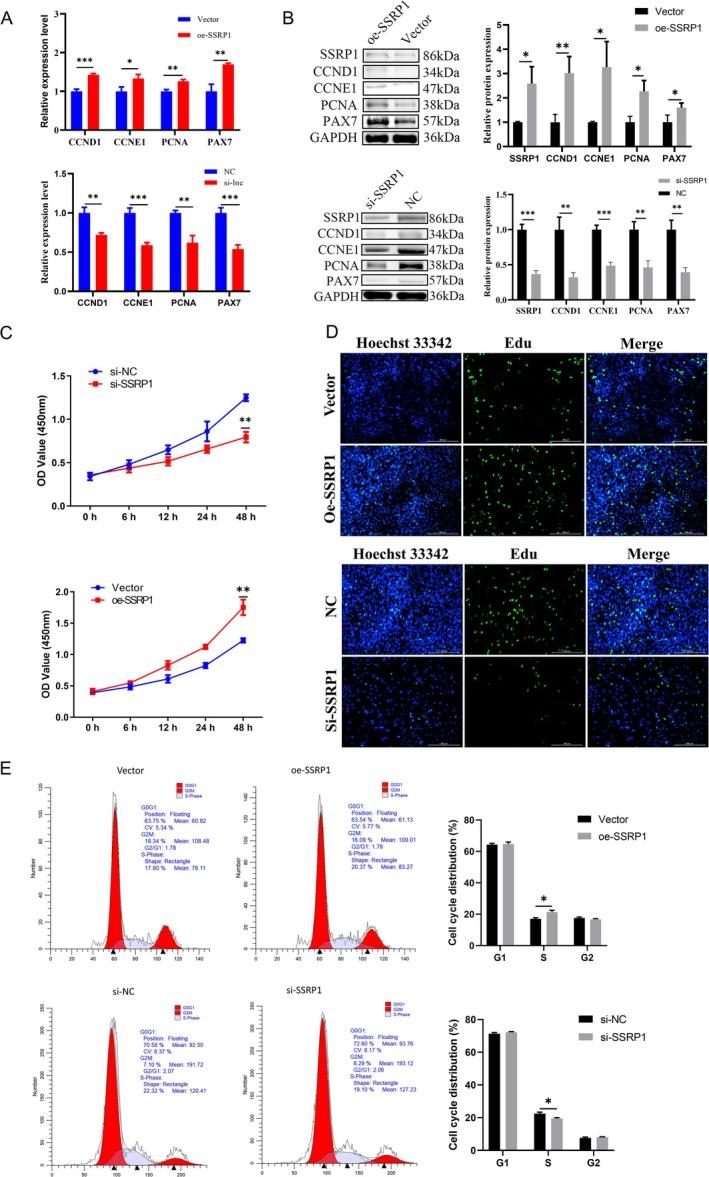 https://cdn.ncbi.nlm.nih.gov/pmc/blobs/c4f6/12138275/69d3abaf4908/JCSM-16-e13836-g001.jpg
