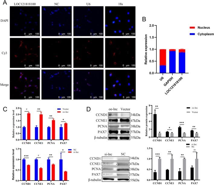 https://cdn.ncbi.nlm.nih.gov/pmc/blobs/c4f6/12138275/d276f80590bb/JCSM-16-e13836-g004.jpg