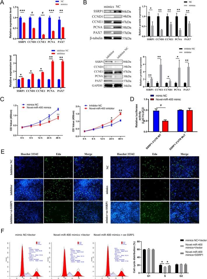 https://cdn.ncbi.nlm.nih.gov/pmc/blobs/c4f6/12138275/e7d767a5759e/JCSM-16-e13836-g003.jpg