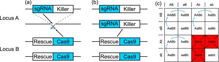 https://cdn.ncbi.nlm.nih.gov/pmc/blobs/c4f6/7689494/dd556230f048/41598_2020_77544_Fig1_HTML.jpg