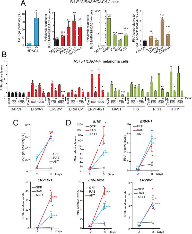 https://cdn.ncbi.nlm.nih.gov/pmc/blobs/c4f7/10882003/0664b85aa460/41419_2024_6548_Fig2_HTML.jpg