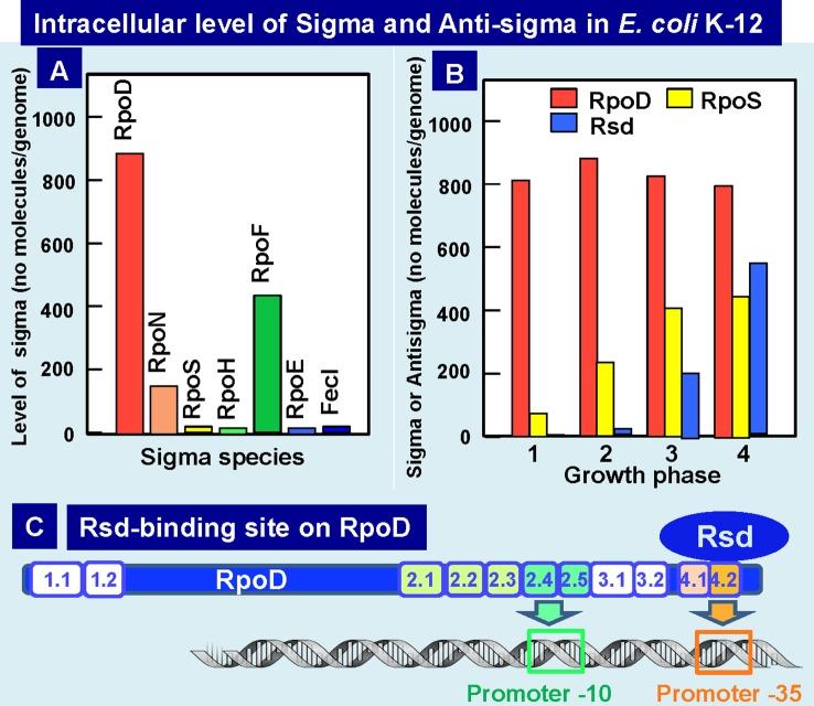 https://cdn.ncbi.nlm.nih.gov/pmc/blobs/c4f7/6904343/c2f177147a27/fgene-10-01153-g005.jpg