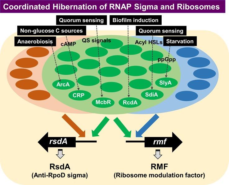 https://cdn.ncbi.nlm.nih.gov/pmc/blobs/c4f7/6904343/e9ca62da4502/fgene-10-01153-g007.jpg