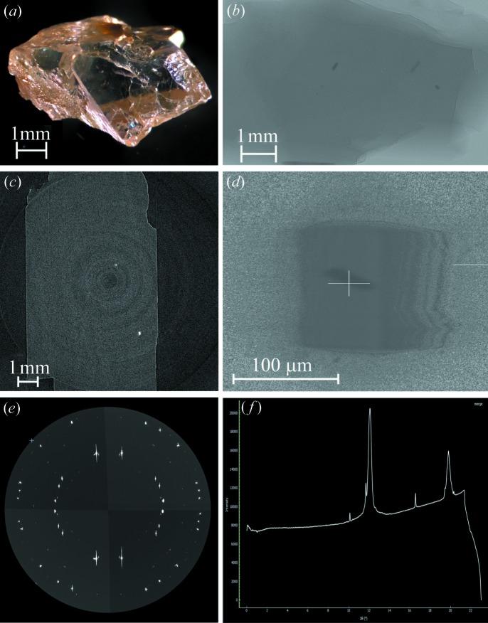 https://cdn.ncbi.nlm.nih.gov/pmc/blobs/c4f8/6730627/ec7875fc879a/s-26-01763-fig4.jpg
