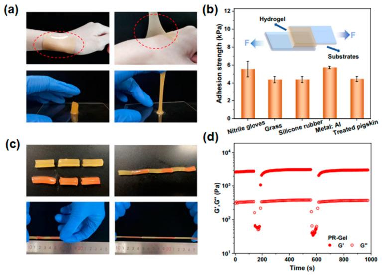 https://cdn.ncbi.nlm.nih.gov/pmc/blobs/c4fa/10743314/13da4d8b3f43/gels-09-00960-g008.jpg