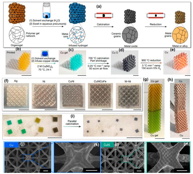 https://cdn.ncbi.nlm.nih.gov/pmc/blobs/c4fa/10743314/8380b932d371/gels-09-00960-g002.jpg