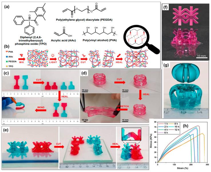 https://cdn.ncbi.nlm.nih.gov/pmc/blobs/c4fa/10743314/e69b275602c1/gels-09-00960-g006.jpg