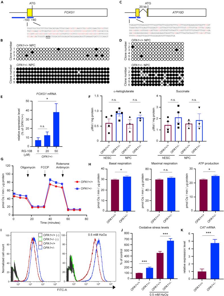 https://cdn.ncbi.nlm.nih.gov/pmc/blobs/c4fc/7251951/a0ed4fd680c0/gr6.jpg