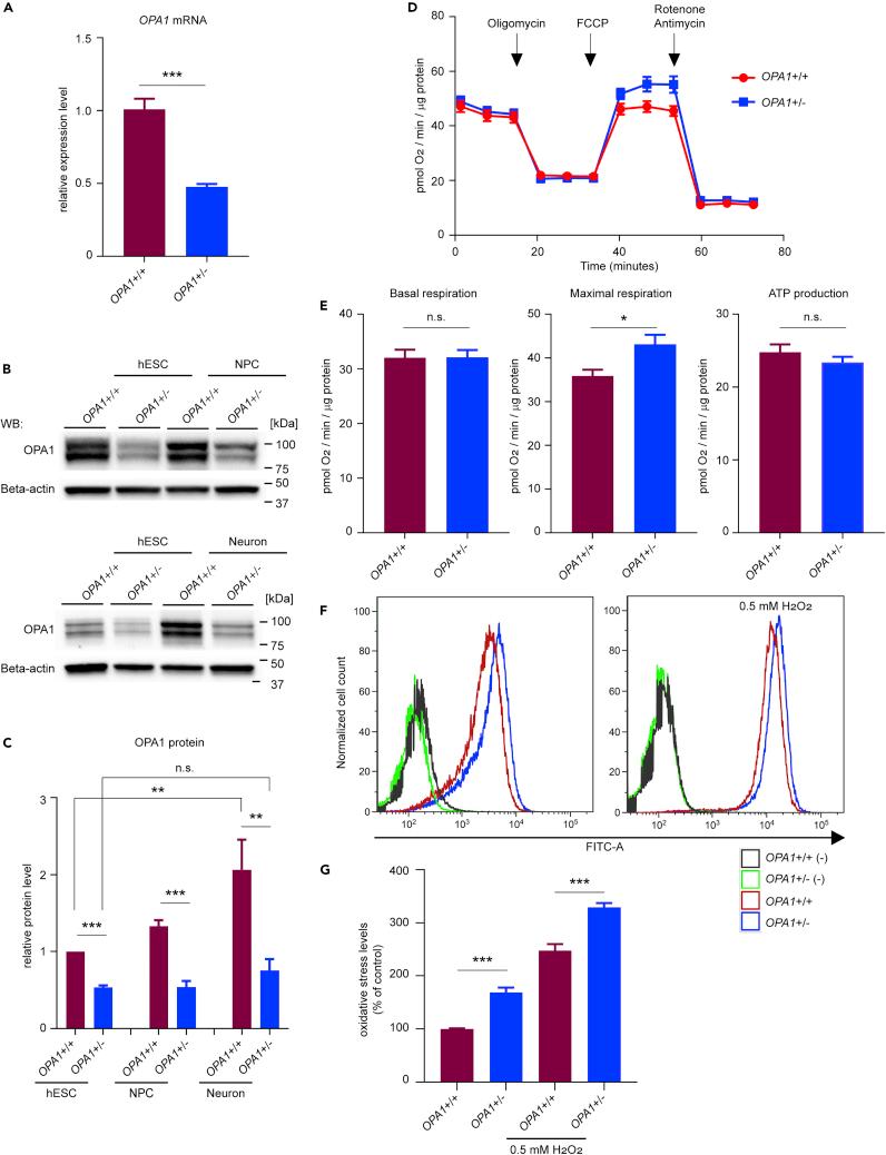 https://cdn.ncbi.nlm.nih.gov/pmc/blobs/c4fc/7251951/ea729b215c18/gr1.jpg