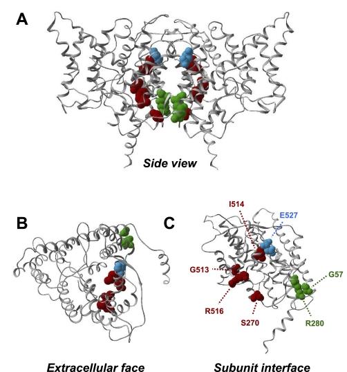 https://cdn.ncbi.nlm.nih.gov/pmc/blobs/c4fe/2643861/f1733857a79b/zh20010954170006.jpg