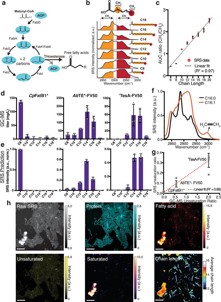https://cdn.ncbi.nlm.nih.gov/pmc/blobs/c4ff/10369233/97df46e8fbf5/ADVS-10-2206519-g002.jpg