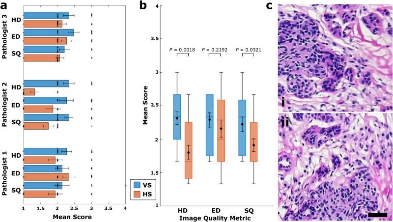 https://cdn.ncbi.nlm.nih.gov/pmc/blobs/c500/10519961/eb5d31c6335c/41467_2023_41574_Fig9_HTML.jpg