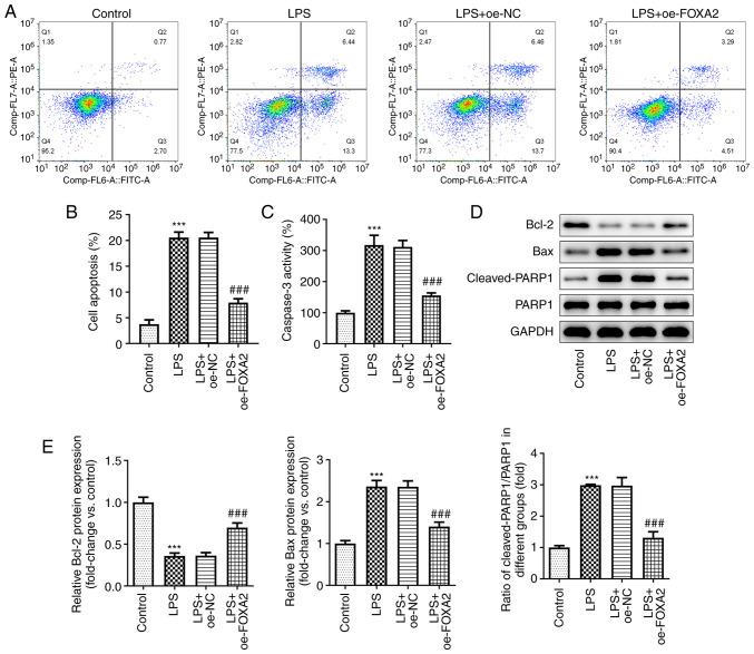 https://cdn.ncbi.nlm.nih.gov/pmc/blobs/c505/10469380/b4c25ba5130d/etm-26-04-12168-g02.jpg