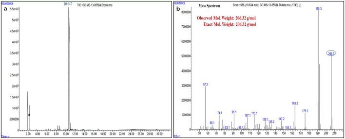 https://cdn.ncbi.nlm.nih.gov/pmc/blobs/c506/12185439/45f24caa3b98/fmicb-16-1575021-g0005.jpg