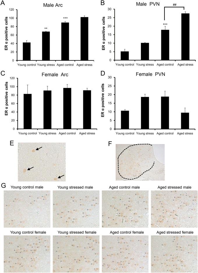 https://cdn.ncbi.nlm.nih.gov/pmc/blobs/c507/5695286/24aea5288ca3/pone.0187937.g006.jpg
