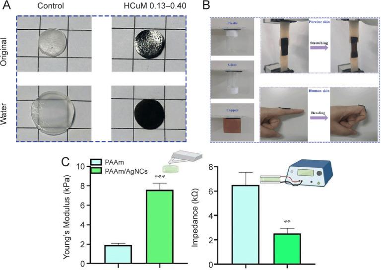 https://cdn.ncbi.nlm.nih.gov/pmc/blobs/c508/10817795/45af84ad2206/bt-04-04-213-g004.jpg