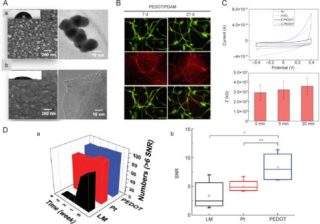 https://cdn.ncbi.nlm.nih.gov/pmc/blobs/c508/10817795/cbc7730ae6d9/bt-04-04-213-g006.jpg