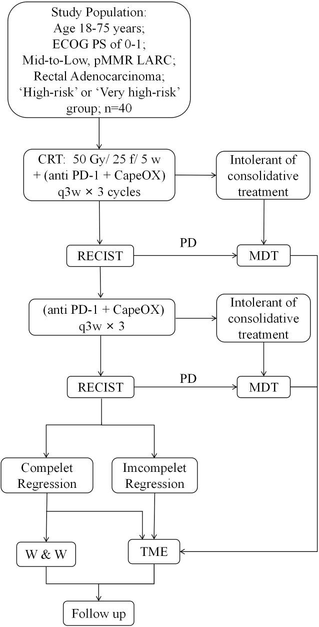 https://cdn.ncbi.nlm.nih.gov/pmc/blobs/c50c/12370480/585005b952eb/fonc-15-1594927-g001.jpg
