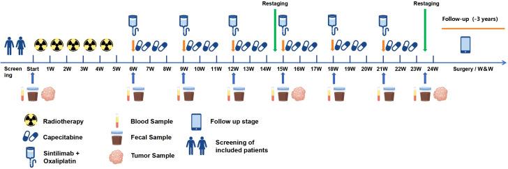 https://cdn.ncbi.nlm.nih.gov/pmc/blobs/c50c/12370480/5a7987dc133a/fonc-15-1594927-g002.jpg