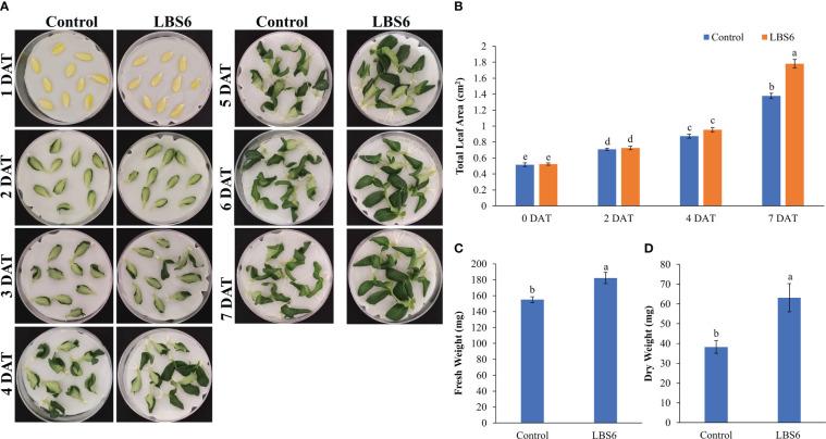 https://cdn.ncbi.nlm.nih.gov/pmc/blobs/c50e/10118050/1945e7539568/fpls-14-1136563-g001.jpg