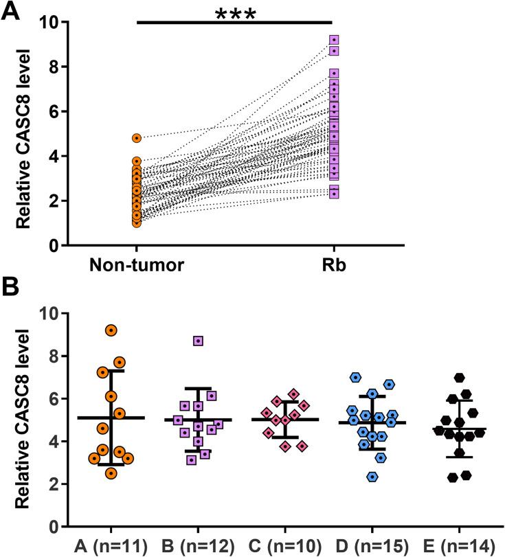 https://cdn.ncbi.nlm.nih.gov/pmc/blobs/c50e/7779858/24c40177a324/CMAR-12-13461-g0001.jpg