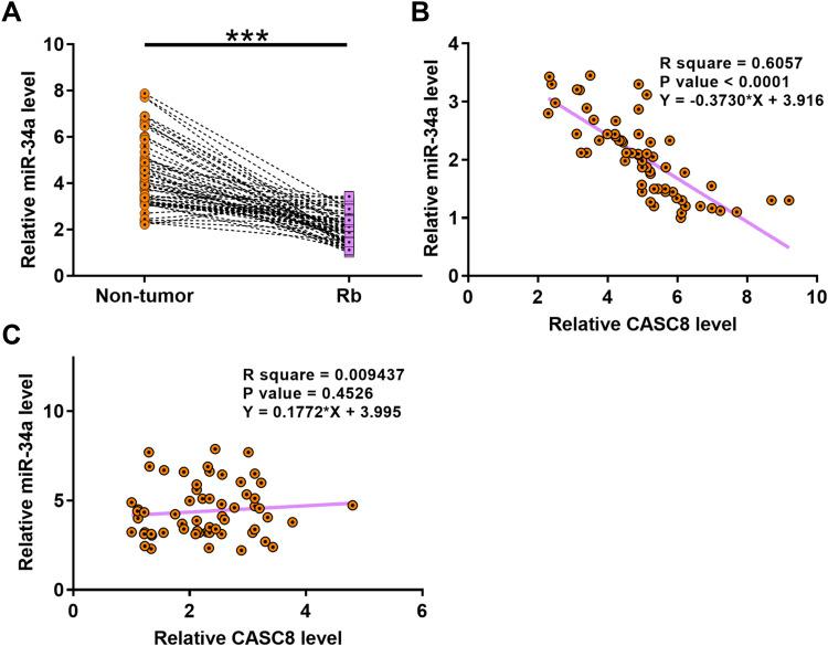 https://cdn.ncbi.nlm.nih.gov/pmc/blobs/c50e/7779858/413c7d78d764/CMAR-12-13461-g0002.jpg