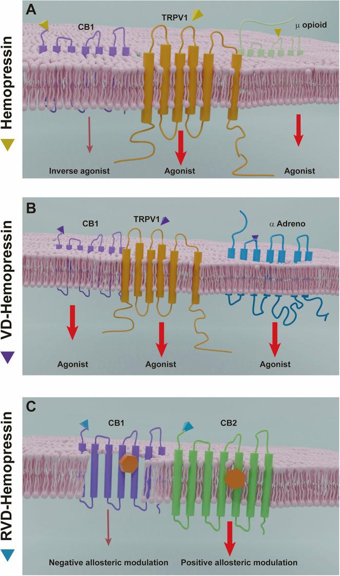 https://cdn.ncbi.nlm.nih.gov/pmc/blobs/c50f/7759141/33c2be4ab217/fphar-11-596572-g005.jpg