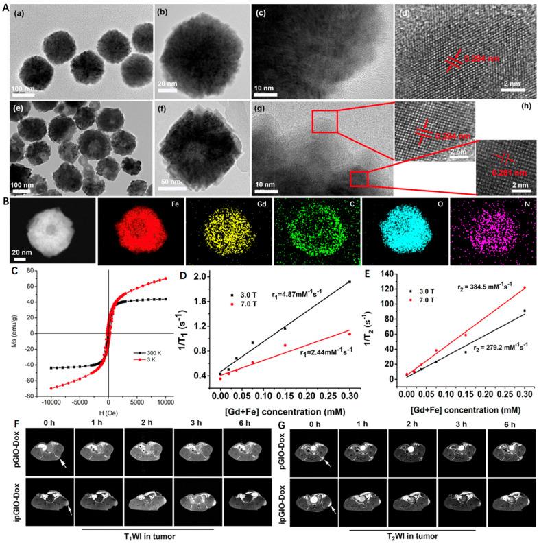 https://cdn.ncbi.nlm.nih.gov/pmc/blobs/c510/9457987/67df474fcbc4/nanomaterials-12-03023-g003.jpg